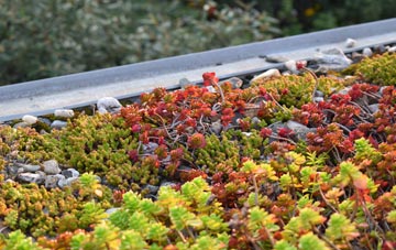 the cost of West Pulham green roof installation