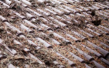 West Pulham roof cleaning companies